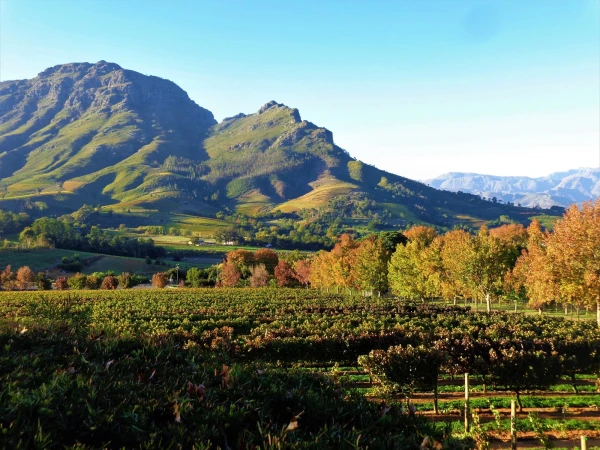 Delaire Graff Estate