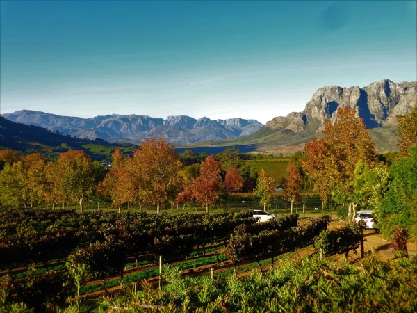 Delaire Graff Estate