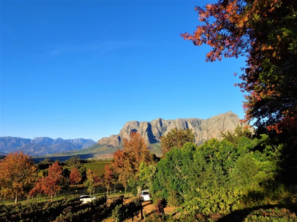 Delaire Graff Estate