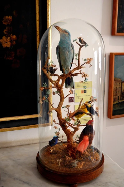 В Музее Мандралиска (Museo Mandralisca)