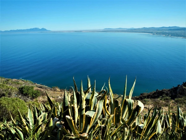Бухта  False Bay 