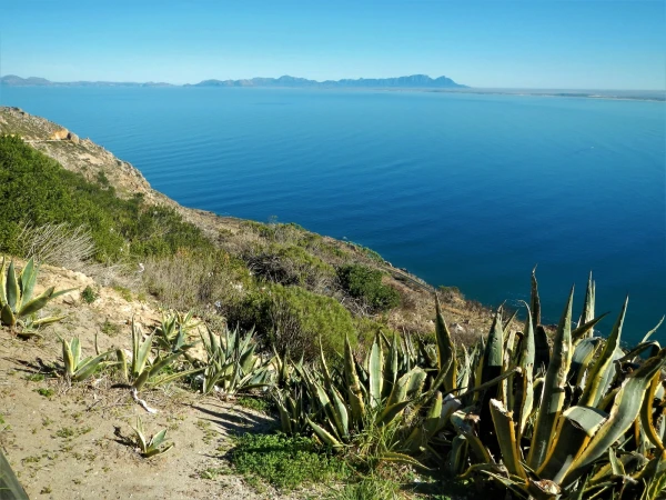 Бухта  False Bay 
