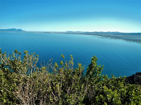 Бухта  False Bay 