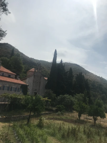 Прасквица