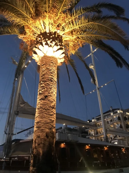 Porto Montenegro