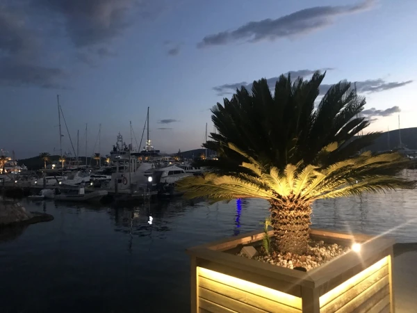Porto Montenegro