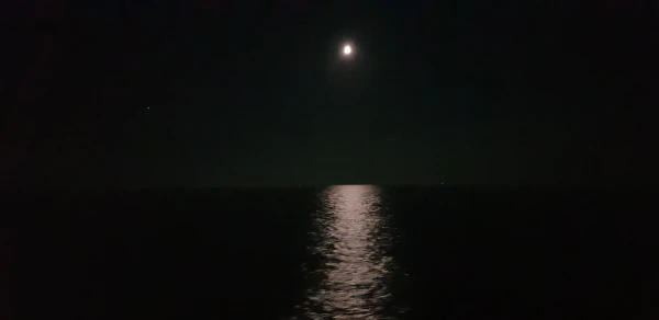 Северное море: курс на запад...