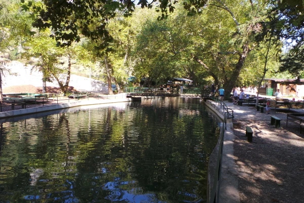 участок, где ловят форель