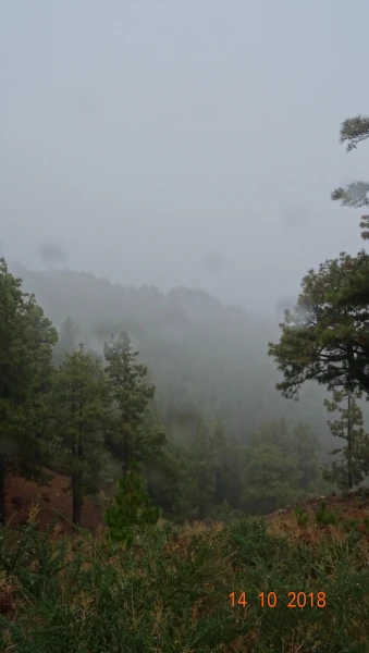 Red de Senderos de La Palma