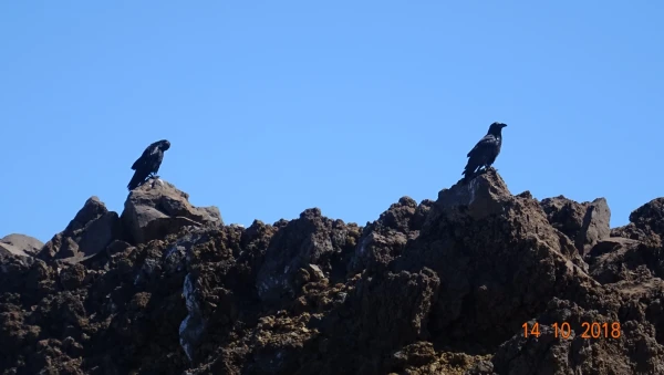 Mirador de Los Andenes