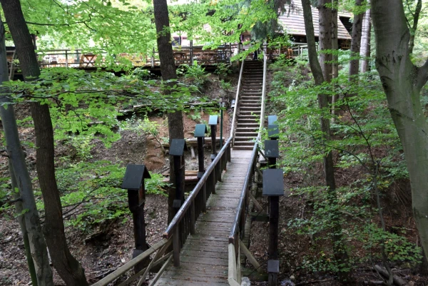 Путь к часовне от ресторана Waldschenke