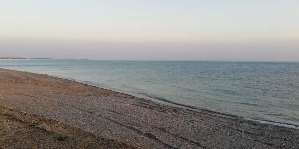 Гагра