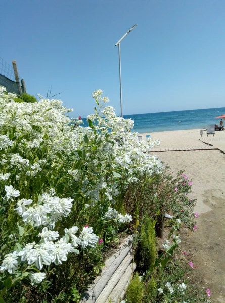 поляж Иракли, Vaya Beach