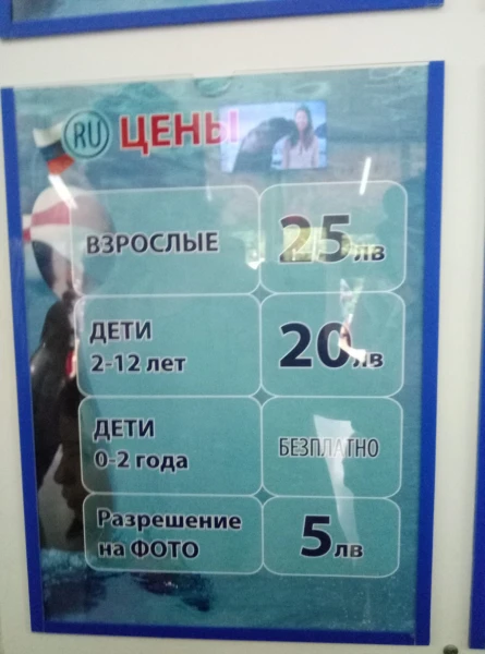 Варна ,Дельфинарий