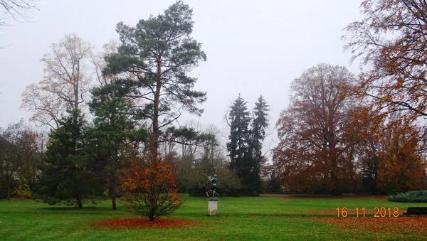 Le jardin de Diane