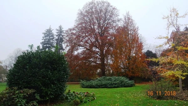 Le jardin de Diane