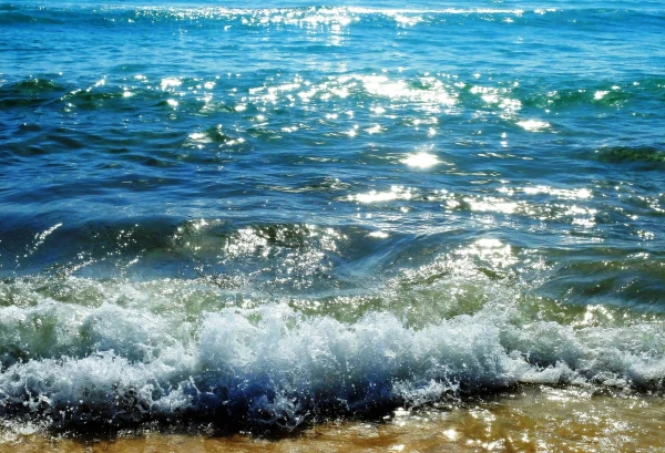 Карибское море 
