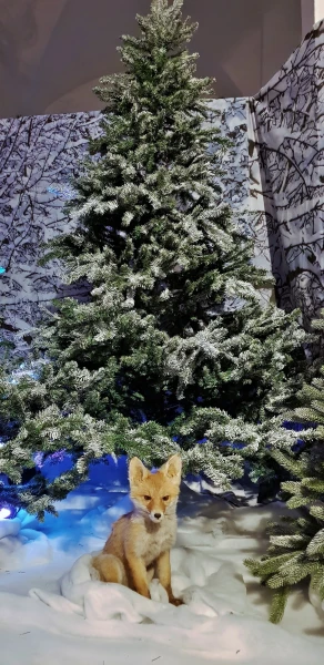 Как в лесу. )))