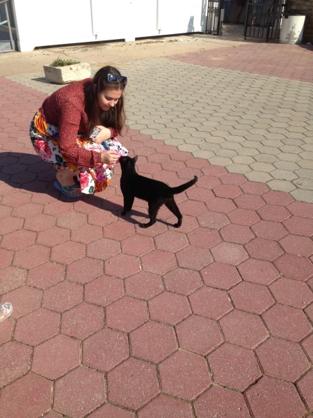 Кошак из Карфагена