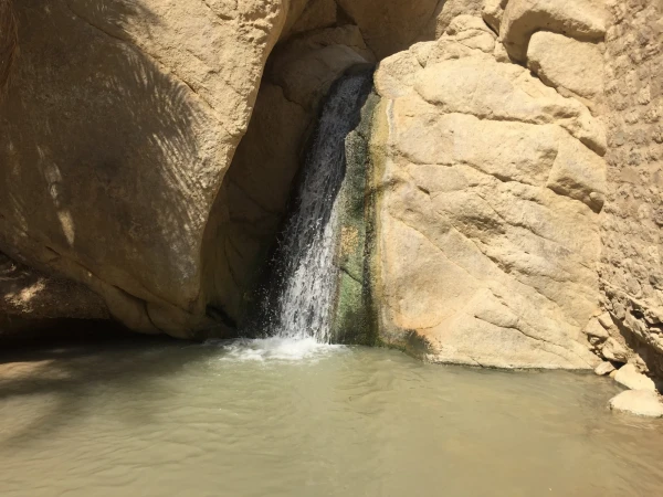 Водопад. Оазис