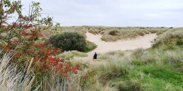 Дорога к пляжу Bamburgh beach