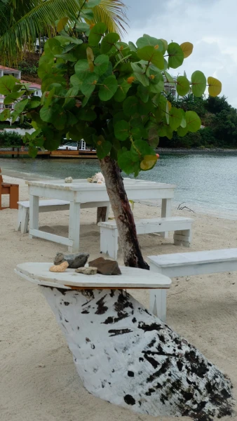 Остров Jost Van Dyke (Йост Ван Дайк)