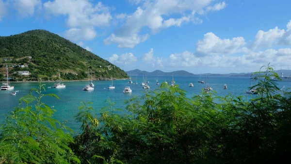 Остров Jost Van Dyke (Йост Ван Дайк)