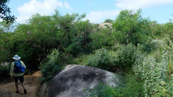 Остров Virgin Gorda. По пути к The Baths (Бани)
