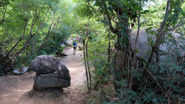 Остров Virgin Gorda. По пути к The Baths (Бани)