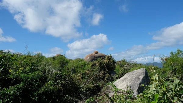 Остров Virgin Gorda. По пути к The Baths (Бани)