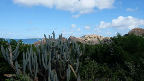 Остров Virgin Gorda. По пути к The Baths (Бани)