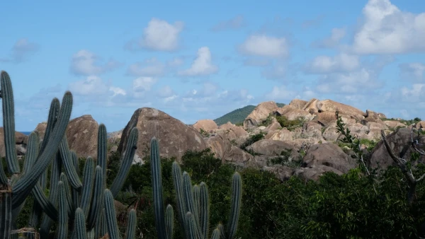 Остров Virgin Gorda. По пути к The Baths (Бани)