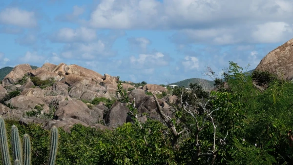Остров Virgin Gorda. По пути к The Baths (Бани)