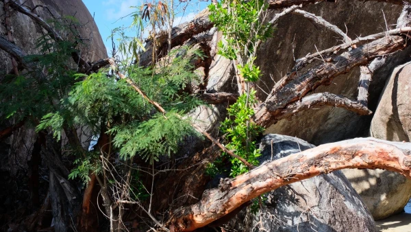 Остров Virgin Gorda. The Baths (Бани)