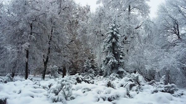 В мечте есть сторона, которая лучше действительности, в действительности есть сторона лучше мечты... 