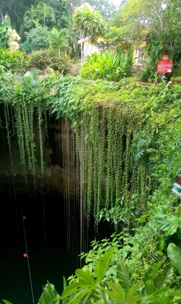 Сенот Ик-Киль (Ik Kil). Ни одно фото не передает до конца красоты этого места 