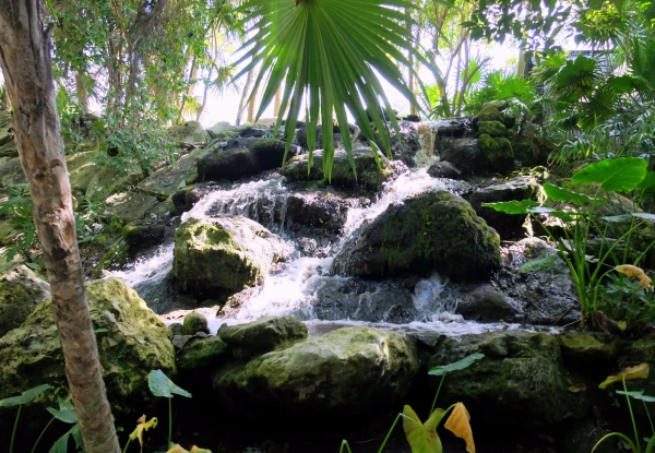 Территория парка Шкарет (Xcaret Park) 