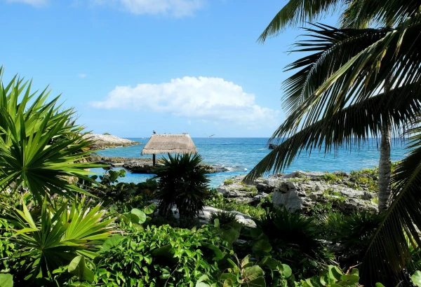 Лагуна в парке  Шкарет (Xcaret Park) 
