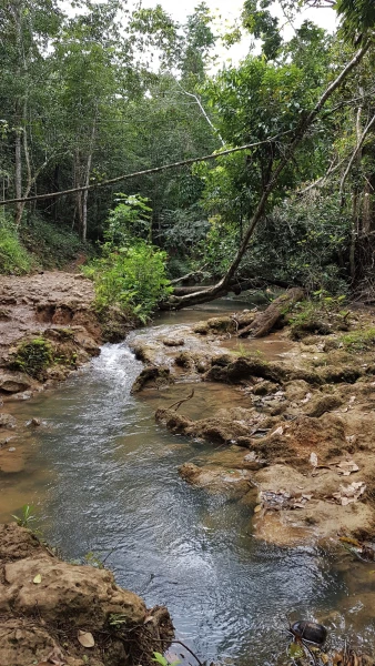 Живописная дорога к водопаду Эль Лимон