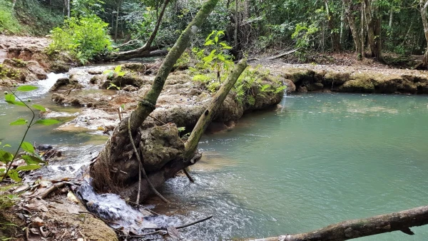 Живописная дорога к водопаду Эль Лимон