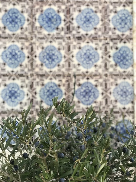 азулежу