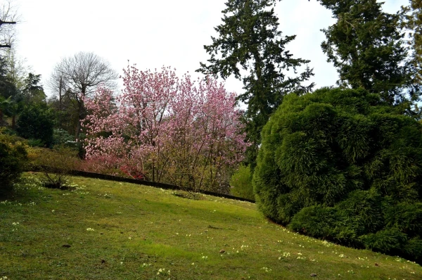 В ботаническом саду виллы Таранто (Giardini Botanici di Villa Taranto)