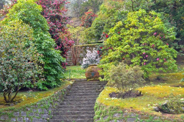 В ботаническом саду виллы Таранто (Giardini Botanici di Villa Taranto)