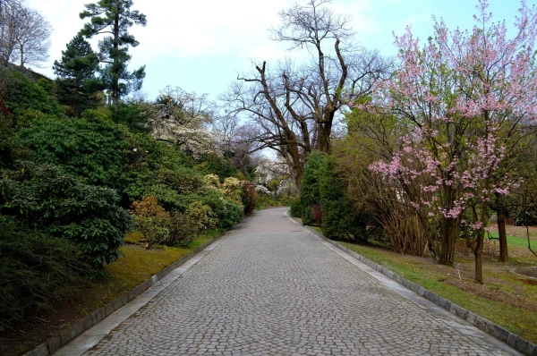 В ботаническом саду виллы Таранто (Giardini Botanici di Villa Taranto)