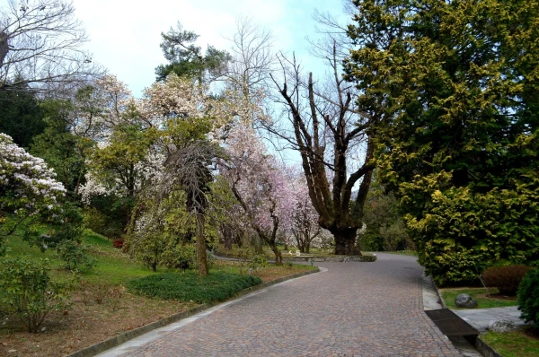 В ботаническом саду виллы Таранто (Giardini Botanici di Villa Taranto)