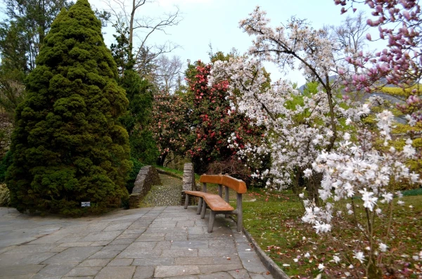 В ботаническом саду виллы Таранто (Giardini Botanici di Villa Taranto)