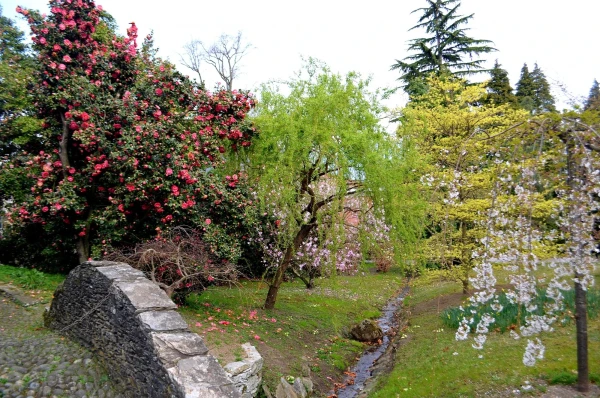 В ботаническом саду виллы Таранто (Giardini Botanici di Villa Taranto)