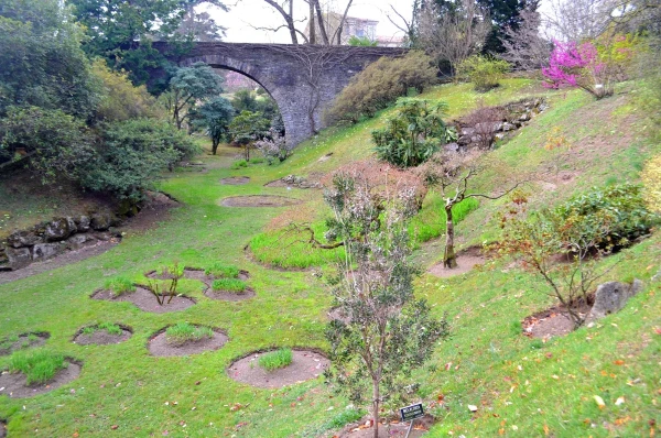 В ботаническом саду виллы Таранто (Giardini Botanici di Villa Taranto). Маленькая Долина