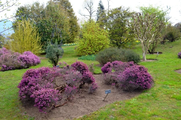 В ботаническом саду виллы Таранто (Giardini Botanici di Villa Taranto)