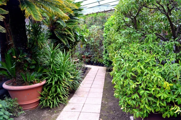 В ботаническом саду виллы Таранто (Giardini Botanici di Villa Taranto)
